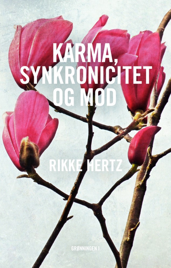 Karma, synkronicitet og mod (e-bog) af Rikke Hertz