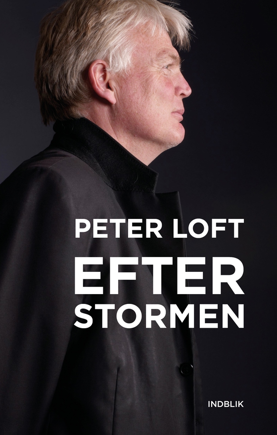 Efter stormen (e-bog) af Peter Loft