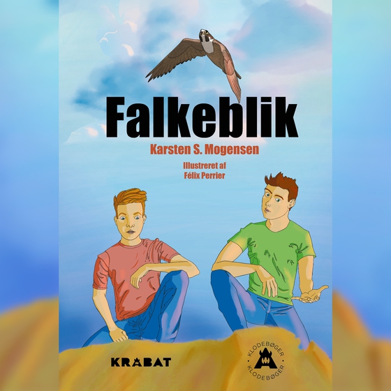 Falkeblik