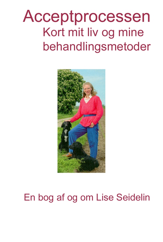 Acceptprocessen - Kort mit liv og mine behandlingsmetoder (e-bog) af Lise Seidelin