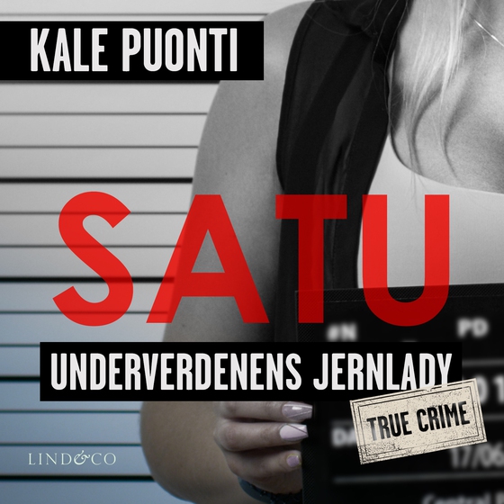 Satu - Underverdenens jernlady (lydbog) af Kale Puonti