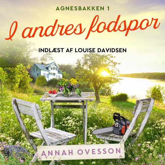 I andres fodspor - 1 (lydbog) af Annah Ovesson