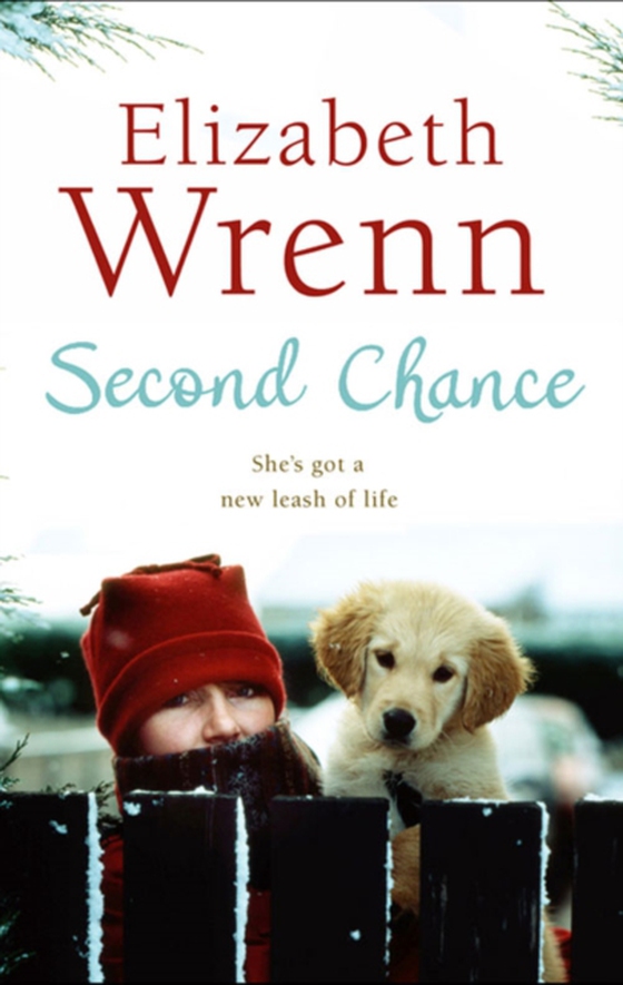 Second Chance (e-bog) af Wrenn, Elizabeth