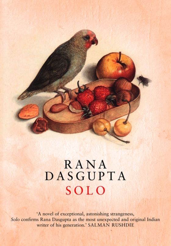 Solo (e-bog) af Dasgupta, Rana