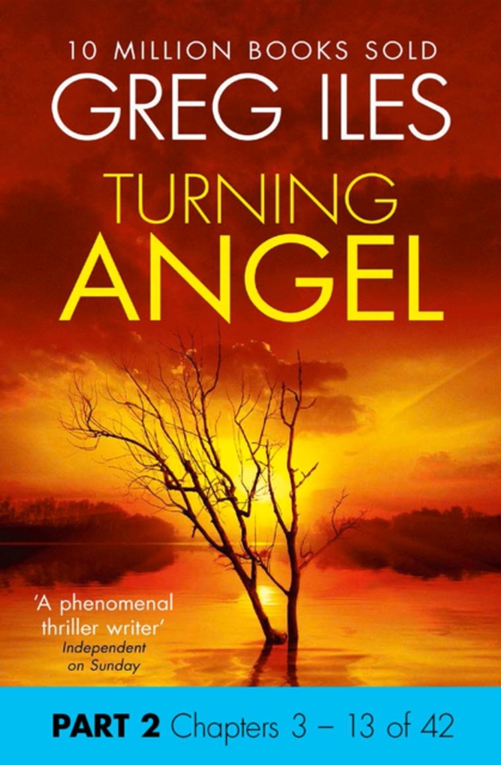 Turning Angel: Part 2, Chapters 3 to 13 (e-bog) af Iles, Greg