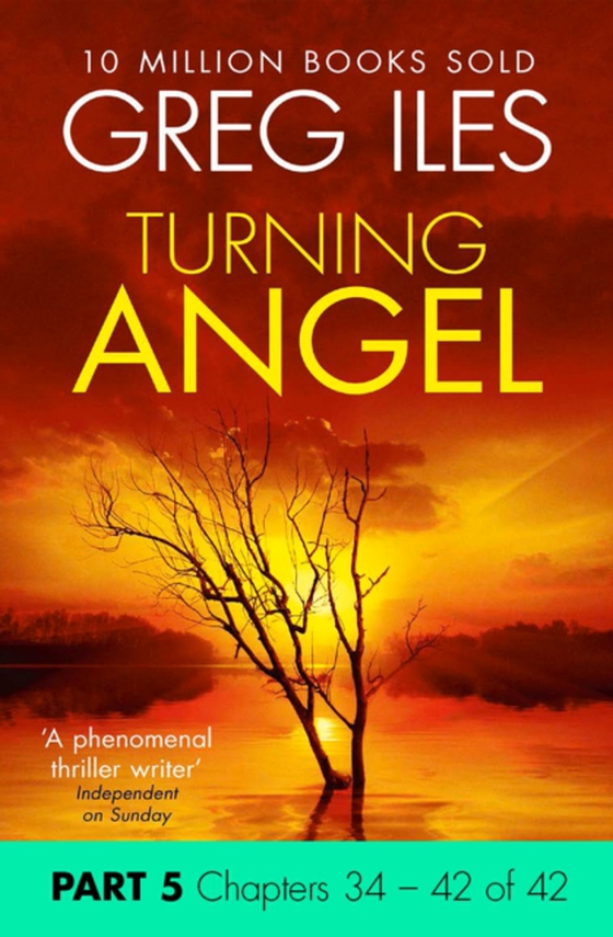 Turning Angel: Part 5, Chapters 34 to 42 (e-bog) af Iles, Greg