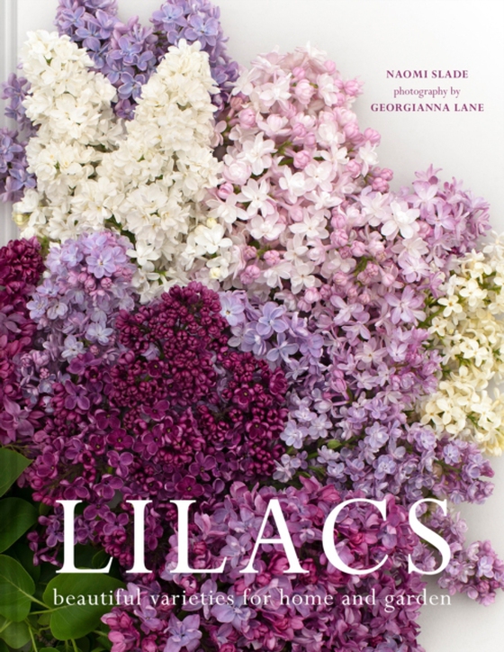 Lilacs (e-bog) af Slade, Naomi