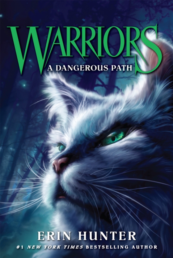 Warriors #5: A Dangerous Path (e-bog) af Hunter, Erin