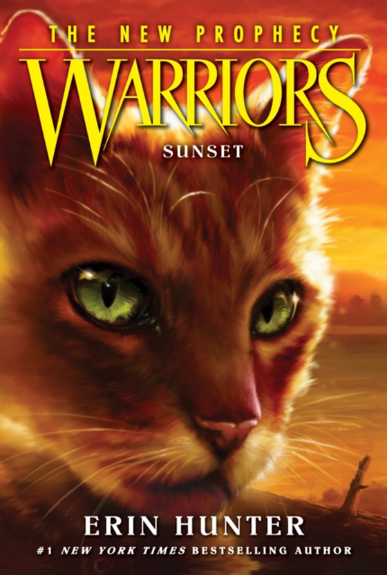 Warriors: The New Prophecy #6: Sunset (e-bog) af Hunter, Erin