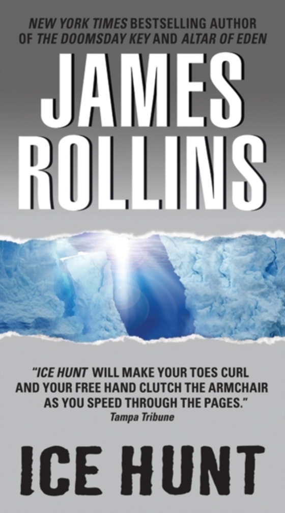 Ice Hunt (e-bog) af Rollins, James