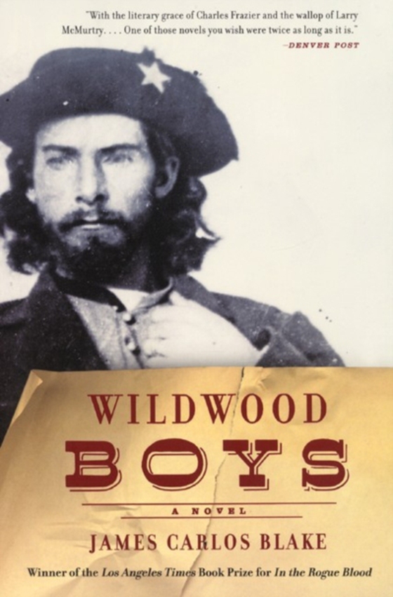 Wildwood Boys (e-bog) af Blake, James Carlos