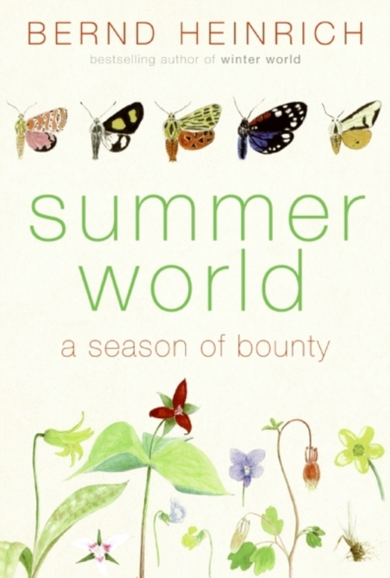 Summer World (e-bog) af Heinrich, Bernd