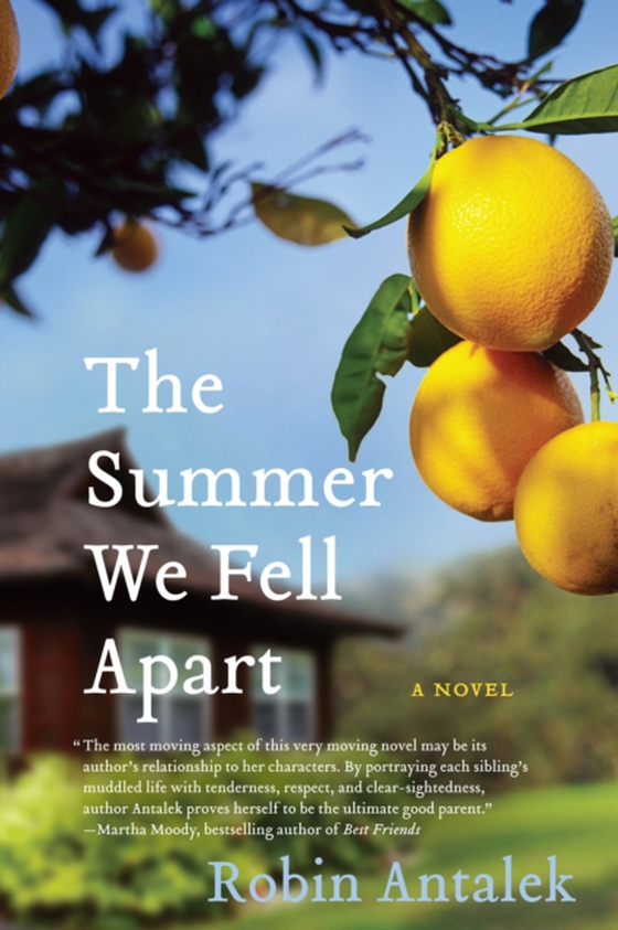 Summer We Fell Apart