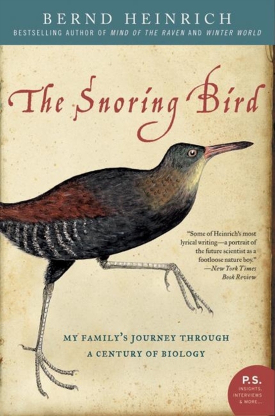 Snoring Bird (e-bog) af Heinrich, Bernd