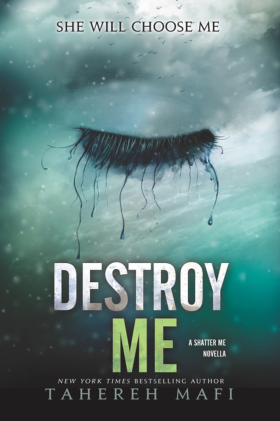 Destroy Me (e-bog) af Mafi, Tahereh