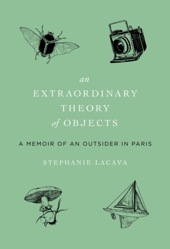 Extraordinary Theory of Objects (e-bog) af LaCava, Stephanie