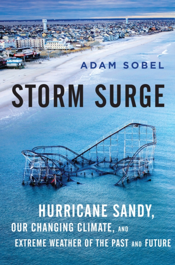 Storm Surge (e-bog) af Sobel, Adam