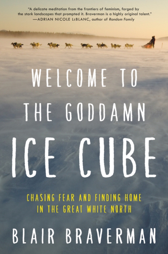 Welcome to the Goddamn Ice Cube (e-bog) af Braverman, Blair