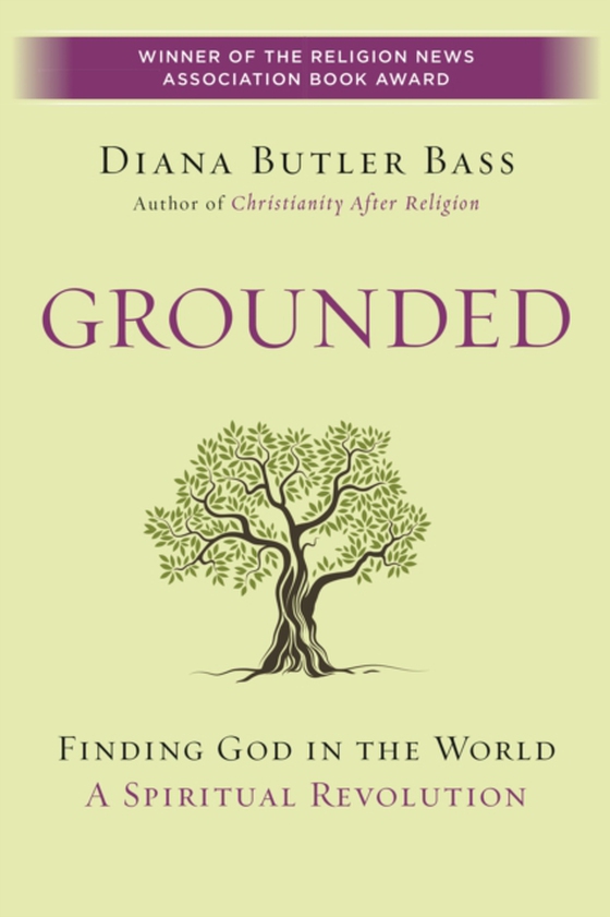 Grounded (e-bog) af Bass, Diana Butler