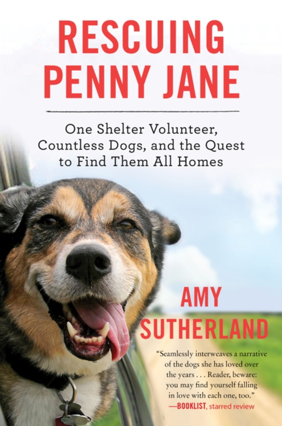 Rescuing Penny Jane (e-bog) af Sutherland, Amy