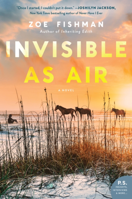 Invisible as Air (e-bog) af Fishman, Zoe