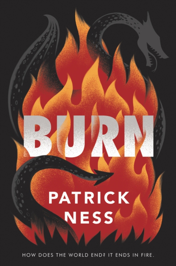 Burn (e-bog) af Ness, Patrick