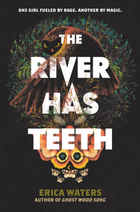 River Has Teeth (e-bog) af Waters, Erica