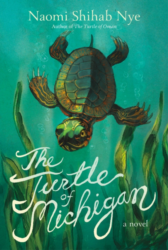 Turtle of Michigan (e-bog) af Nye, Naomi Shihab