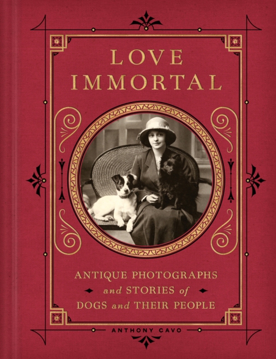 Love Immortal