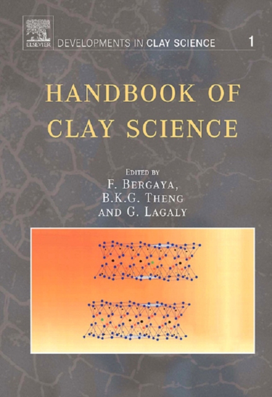 Handbook of Clay Science (e-bog) af -