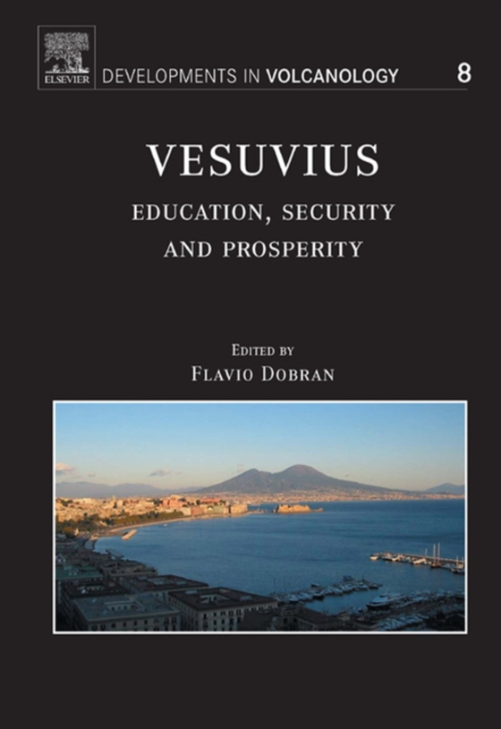 Vesuvius (e-bog) af -