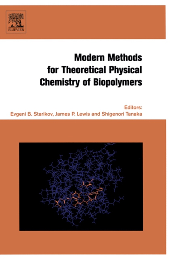 Modern Methods for Theoretical Physical Chemistry of Biopolymers (e-bog) af -