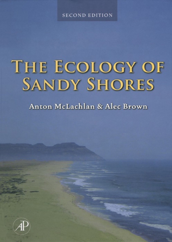 Ecology of Sandy Shores