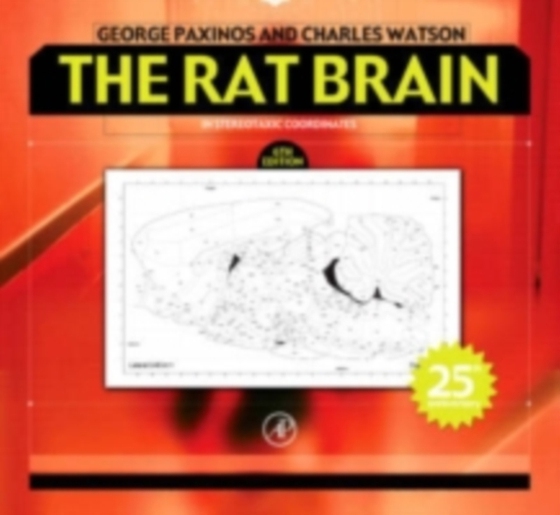 Rat Brain in Stereotaxic Coordinates (e-bog) af Watson, Charles