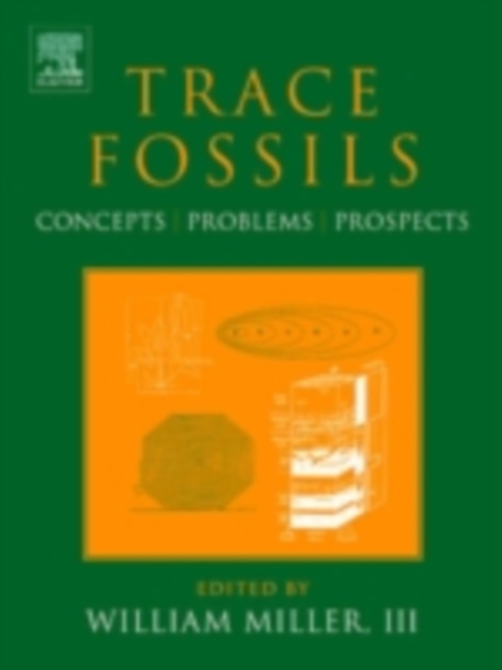 Trace Fossils (e-bog) af -