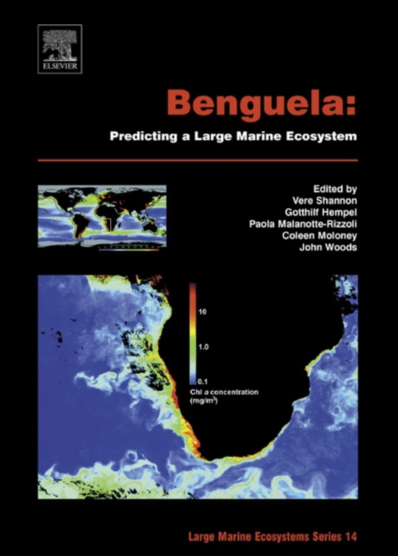 Benguela: Predicting a Large Marine Ecosystem (e-bog) af -