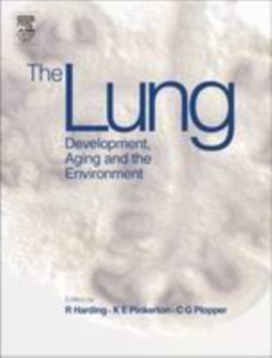 Lung