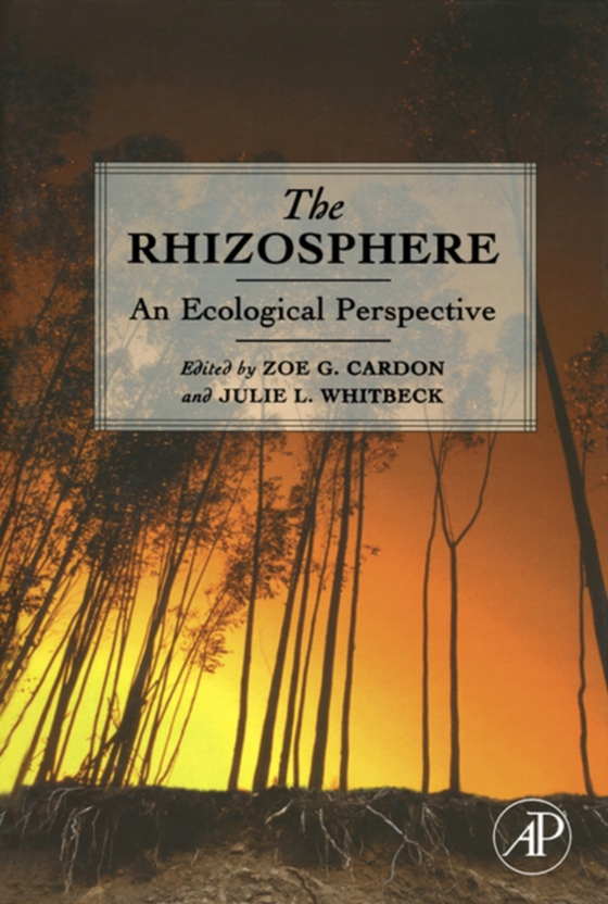 Rhizosphere