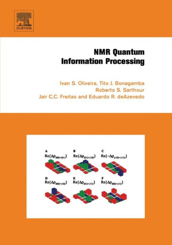 NMR Quantum Information Processing (e-bog) af Freitas, Jair C. C.
