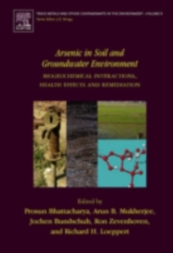 Arsenic in Soil and Groundwater Environment (e-bog) af -