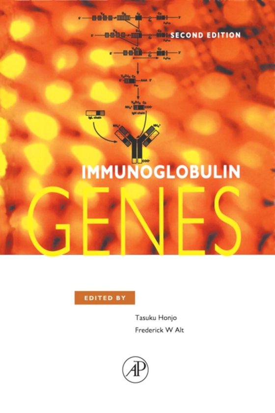 Immunoglobulin Genes (e-bog) af -