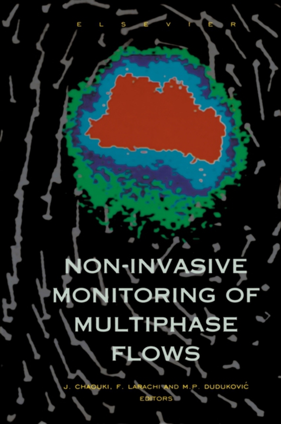 Non-Invasive Monitoring of Multiphase Flows (e-bog) af -