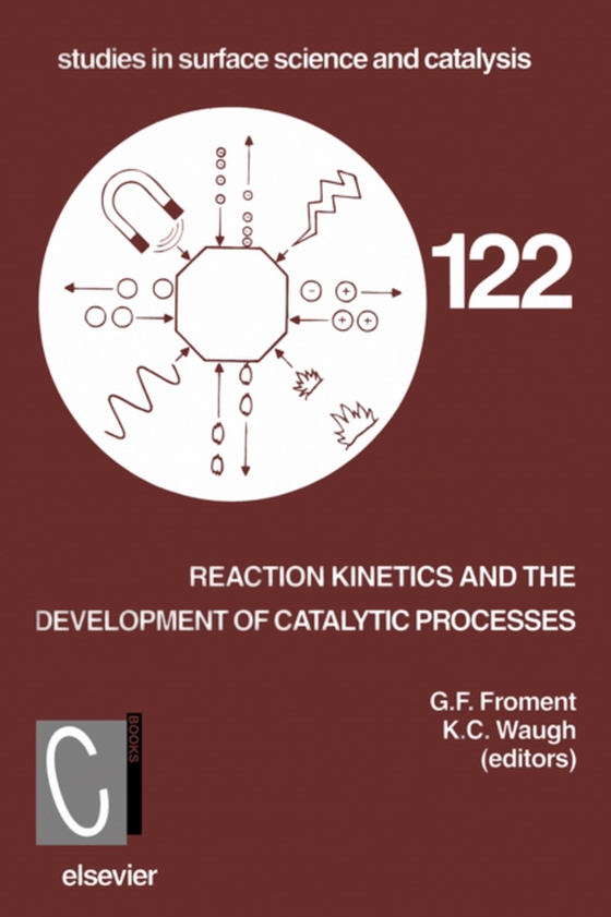 Reaction Kinetics and the Development of Catalytic Processes (e-bog) af -