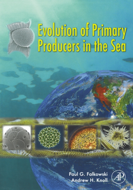 Evolution of Primary Producers in the Sea (e-bog) af -