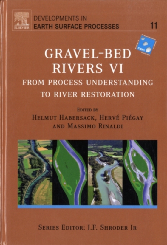 Gravel Bed Rivers 6 (e-bog) af -