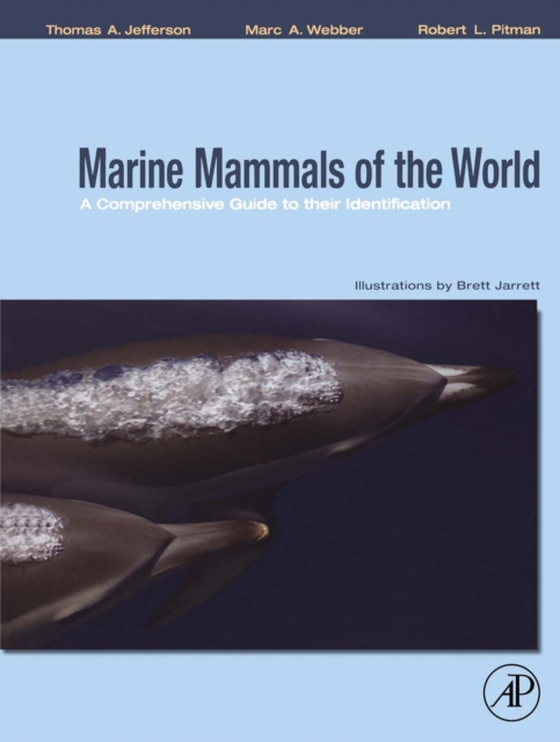 Marine Mammals of the World: A Comprehensive Guide to Their Identification