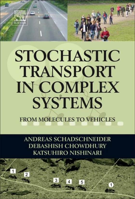 Stochastic Transport in Complex Systems