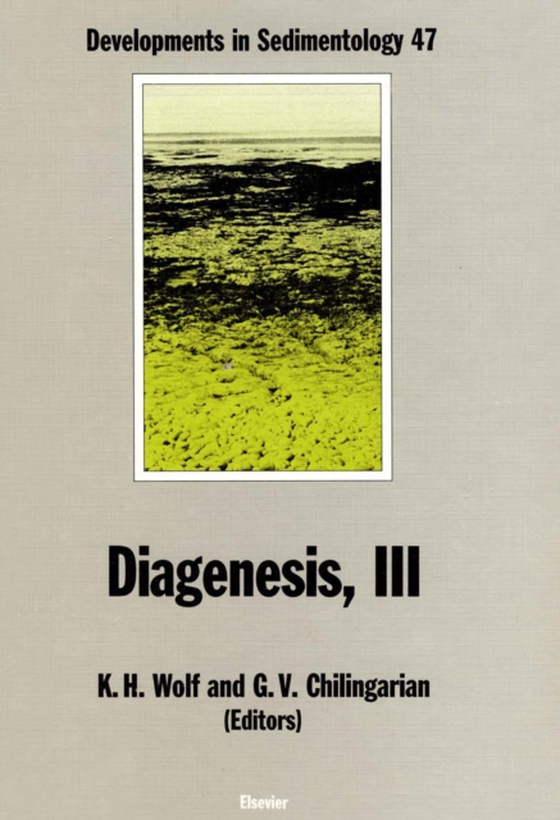 Diagenesis, III (e-bog) af -