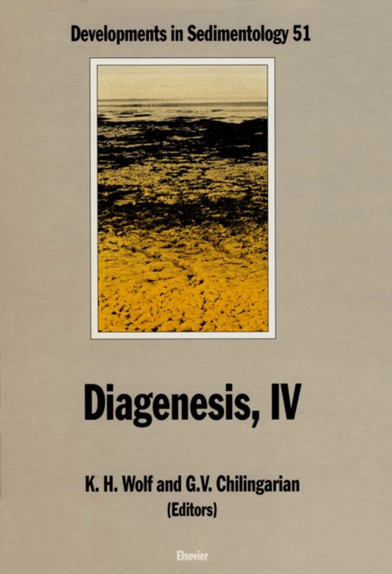 Diagenesis, IV (e-bog) af -