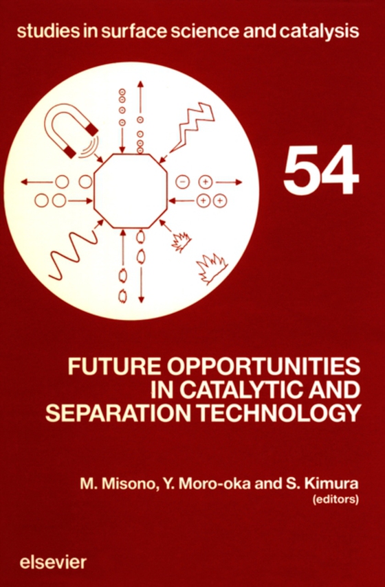 Future Opportunities in Catalytic and Separation Technology (e-bog) af -